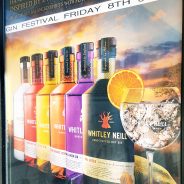 Gin Night on Friday 8th June