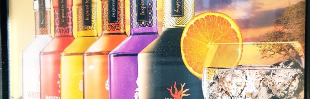 Gin Night on Friday 8th June