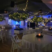 Christmas Party Nights