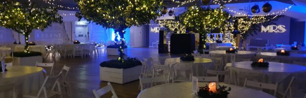 Christmas Party Nights