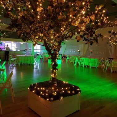 ballroom event hire essex 28