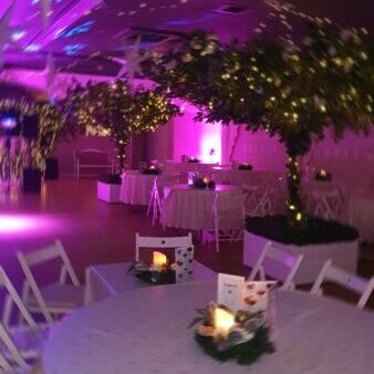 2024 12 07 Upstairs Pink 2