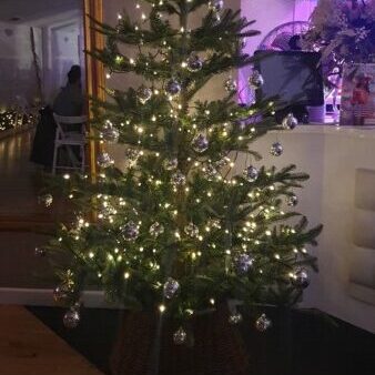 2025 12 05 Christmas Tree Upstairs